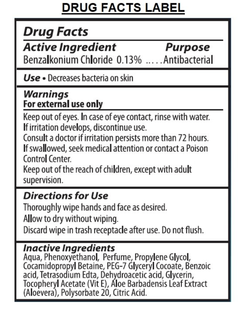BREEZE ANTIBACTERIAL WET WIPES 60 PCS